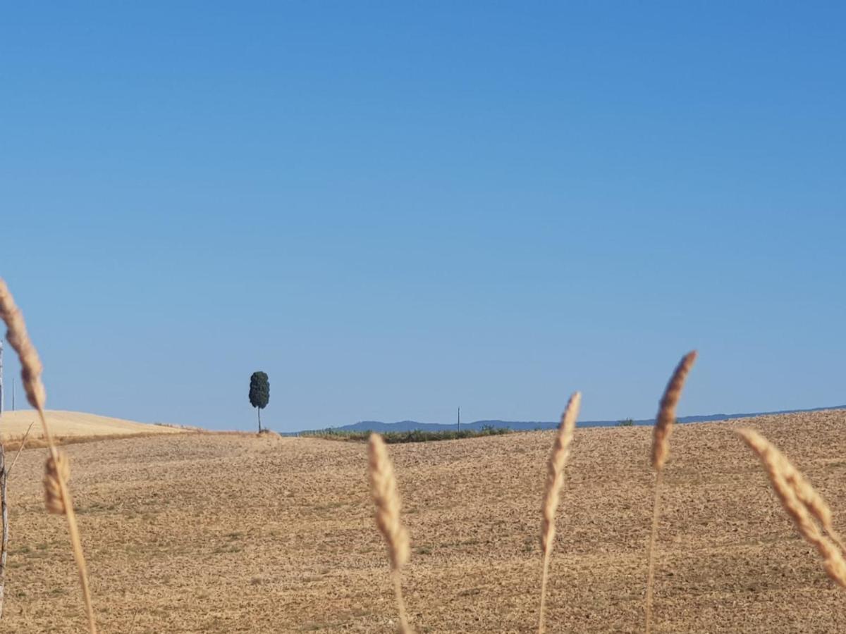 Apartment Dimora In San Quirico d'Orcia