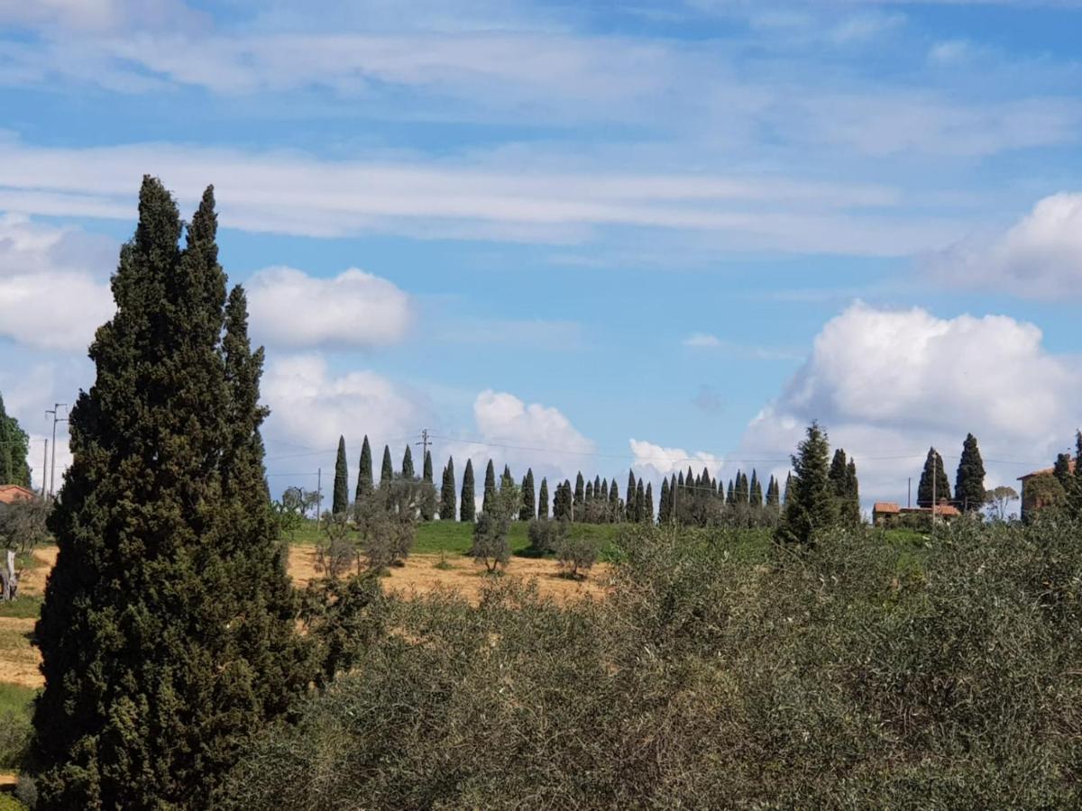 Dimora In *