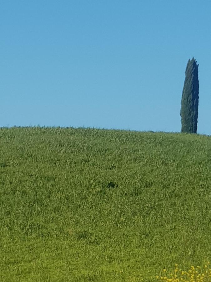 Dimora In * San Quirico d'Orcia